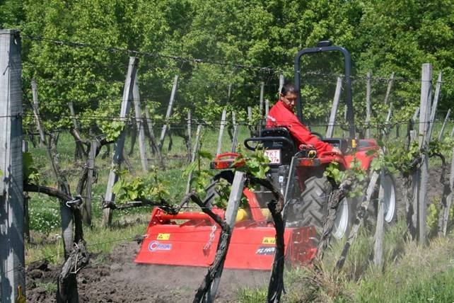 Vučna freza 80/540 o/min (1)