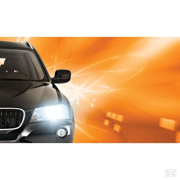 GL42406VIC1 Žarulja Xenon D4R Vision